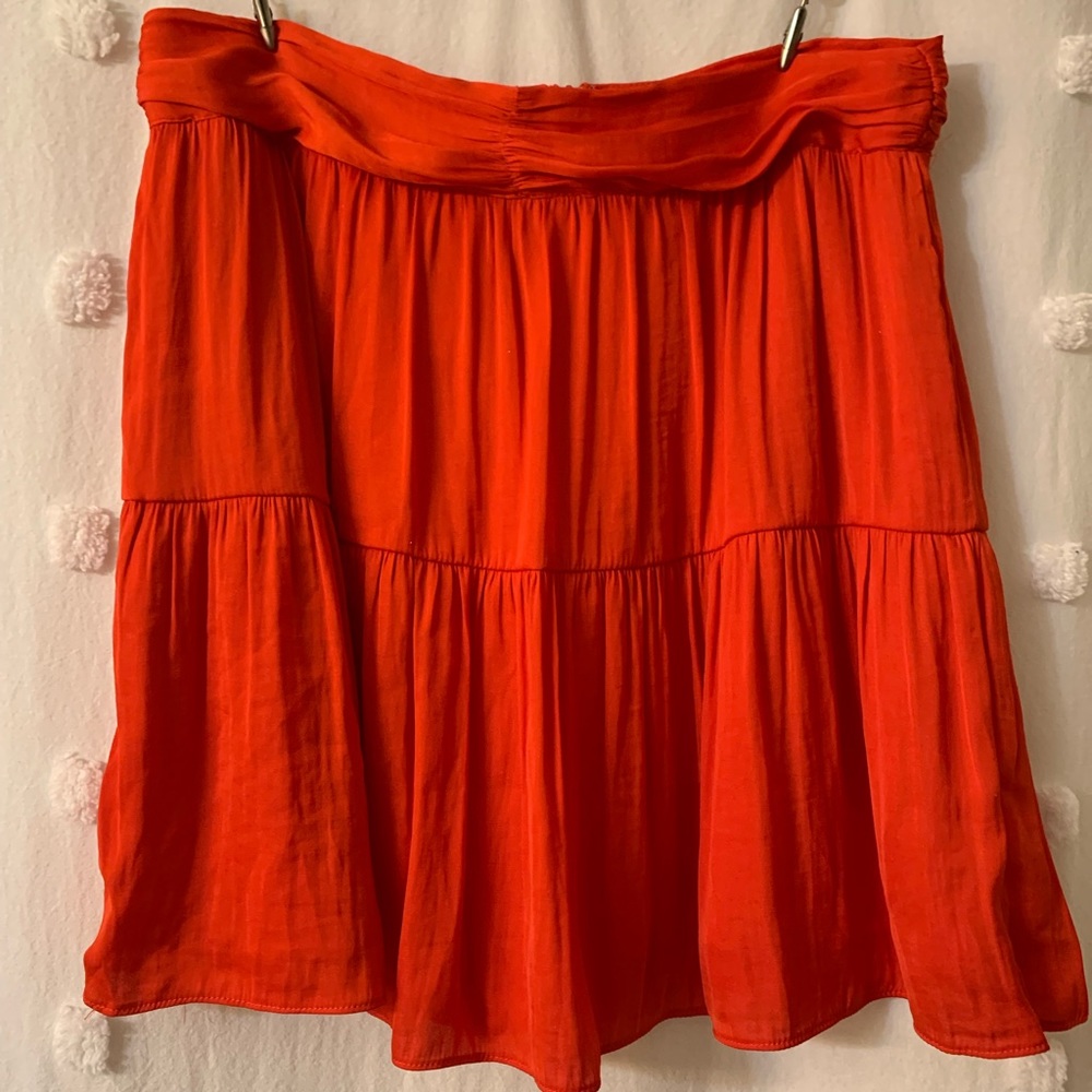 Women’s skirt Naked Zebra